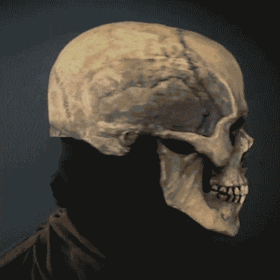 Halloween Skeleton Mask 💀 – Realistic Movable Jaw Costume Mask