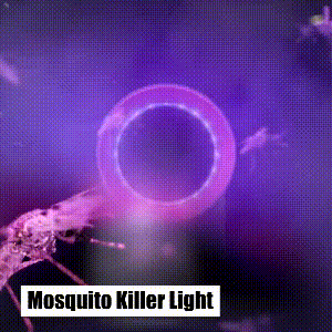 🦟 Mosquito Trap Lamp – Safe, Odorless, and Effective